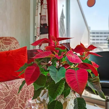 Apartment Elefantes House *